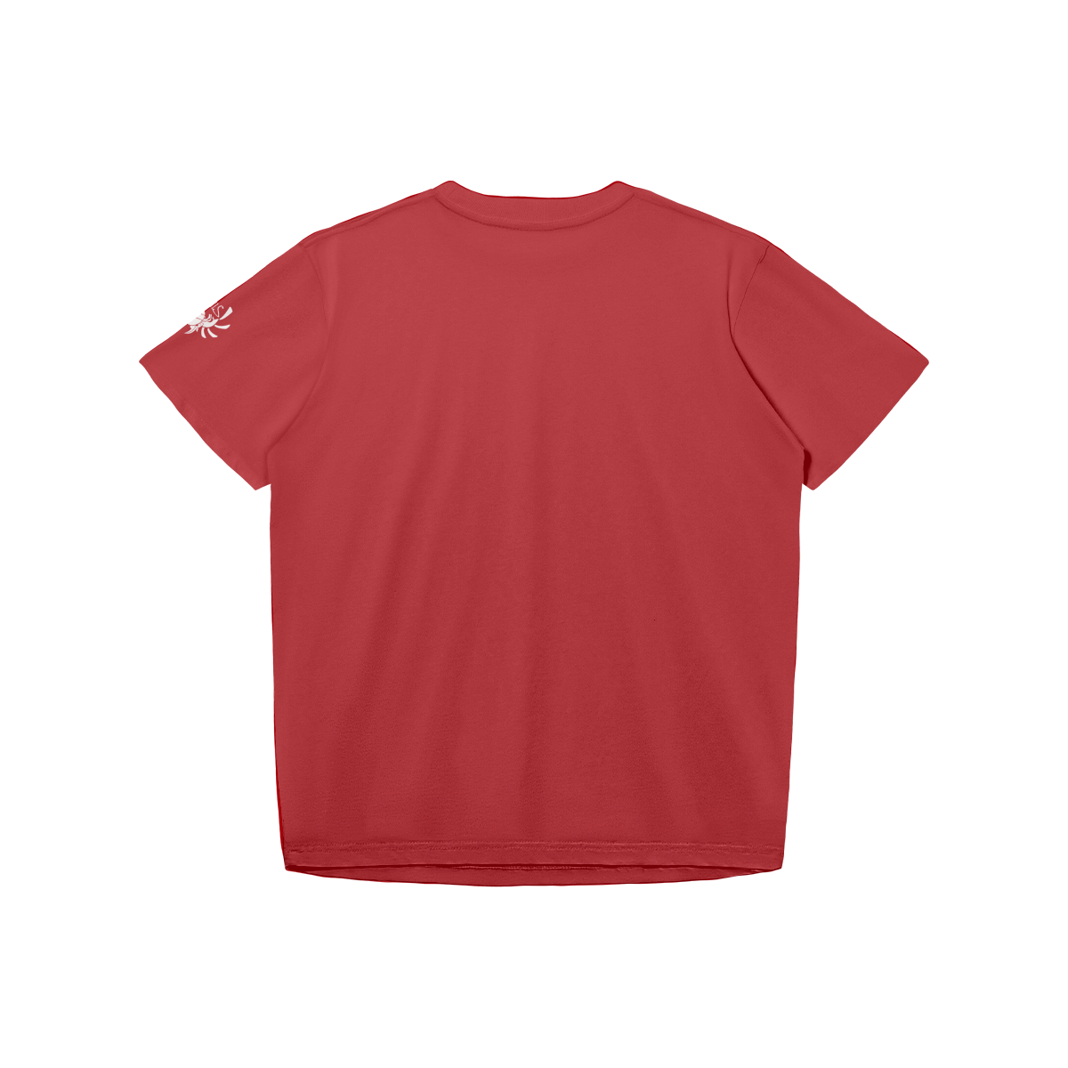 0-YFD-Back Side