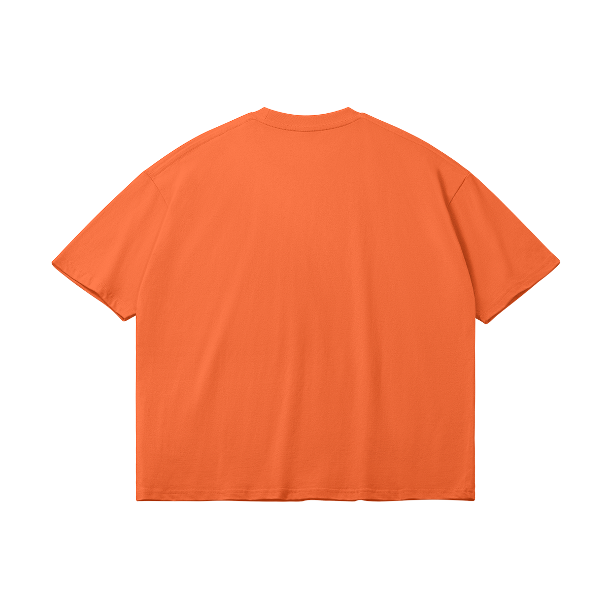 0-Y15-Back Side